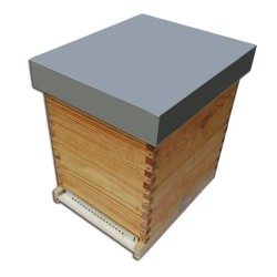 COLMENA PERFECCION BASE SANITARIA DOMÍNGUEZ