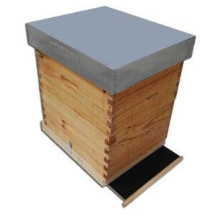 COLMENA PERFECCION DOMÍNGUEZ